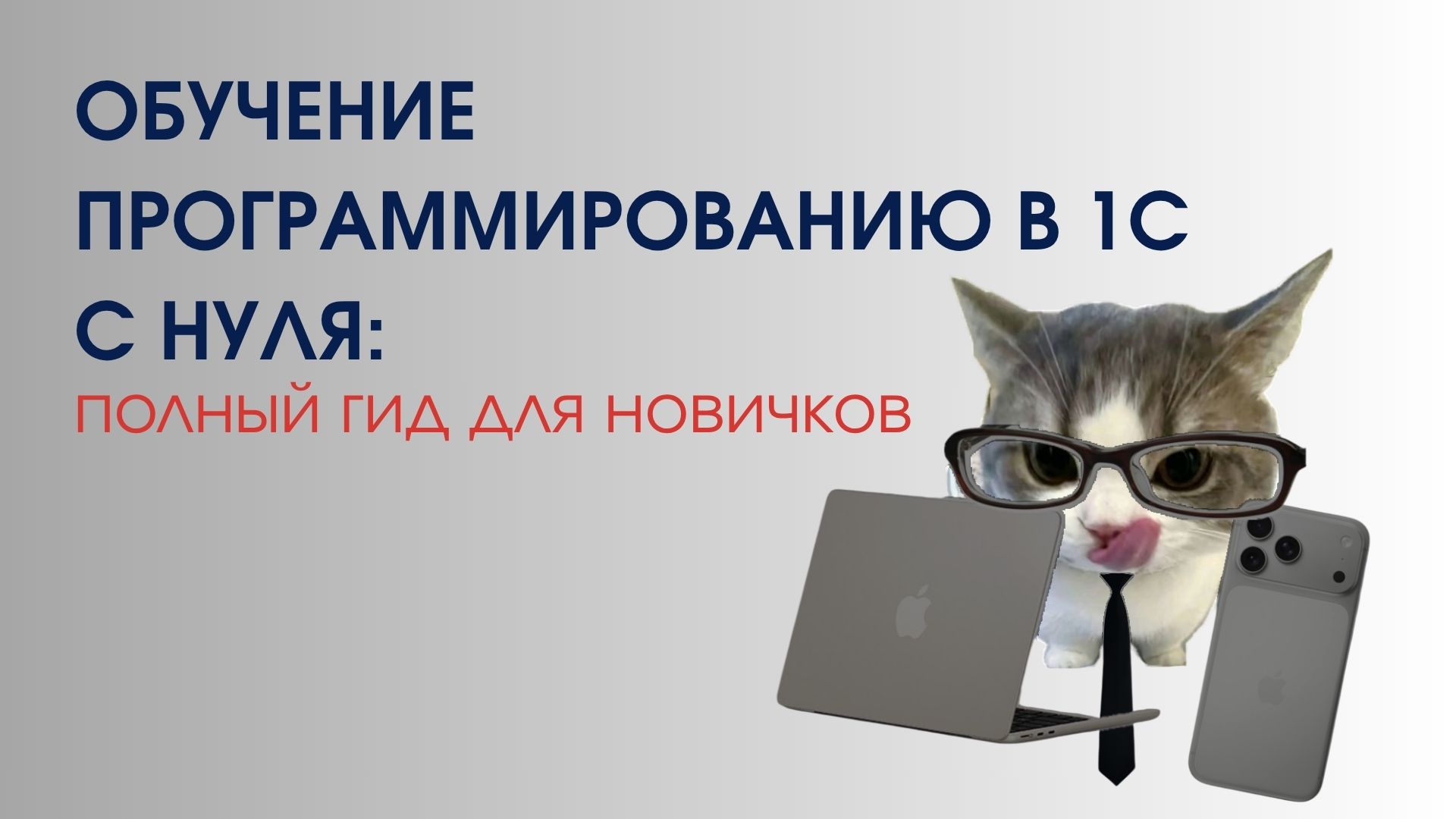 Обучение программированию в 1С с нуля: полный гид для новичков Обучение программированию в 1С с нуля: полный гид для новичков